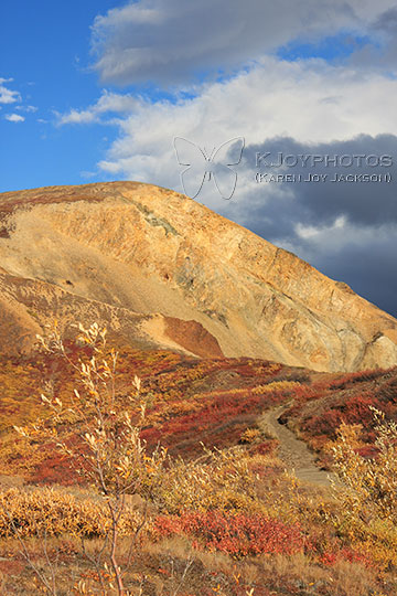 Autumn Carpeted Peak