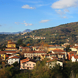 Barga