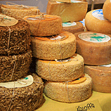 Italian Cheeses