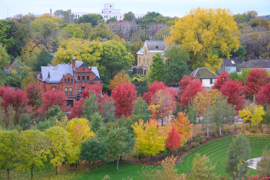 Kaleidoscope of Color