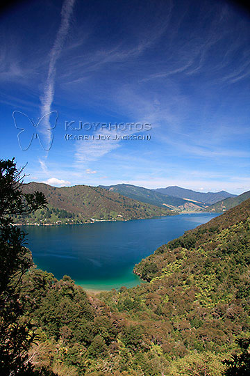 NZ Lake�s Green Toe