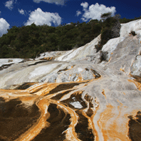 click for the New Zealand Gallery