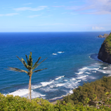 Pololu Beckons