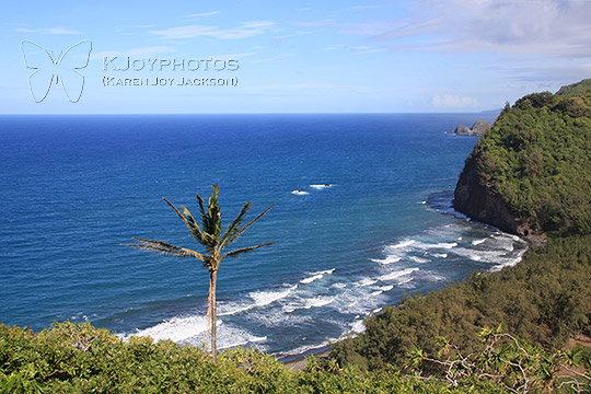 Pololu Beckons