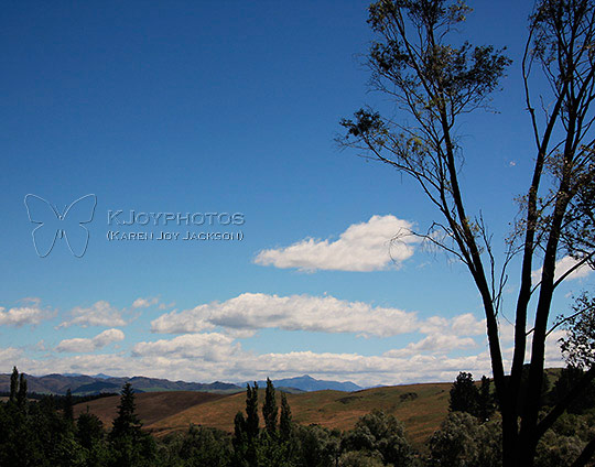 Scenic NZ Countryside