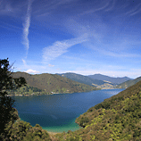  NZ Lake�s Green Toe