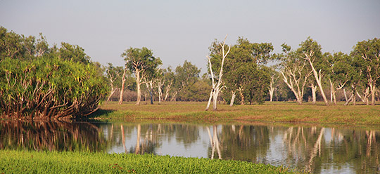 Yellow River Billabong