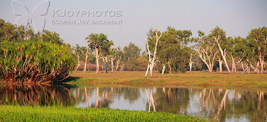 Yellow River Billabong