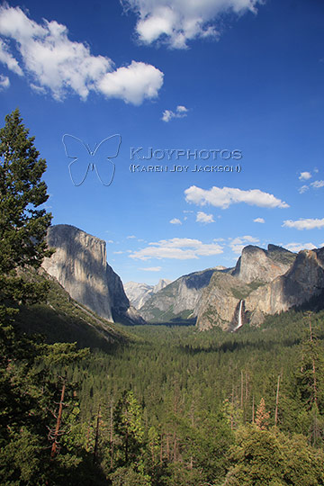 Fantastic Yosemite