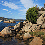 Colorful Chiles - Chiles and Garlic in Sicily