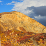 Autumn Carpeted Peak