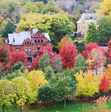 Kaleidoscope of Color