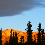 Sunlit Scene
